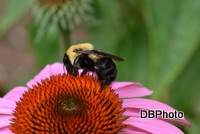 /album/galerie-photos/dsc-0024-jpg/