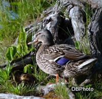 /album/galerie-photos/dsc-0128-001-jpg/