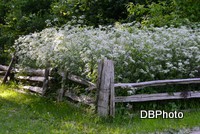 /album/galerie-photos/dsc-0136-jpg/