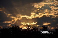 /album/galerie-photos/dsc-0293-jpg/